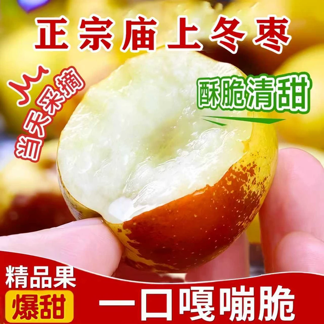 【顺丰/京东】山西庙上冰糖冬枣，产地直发自家枣园现摘现发新鲜水果