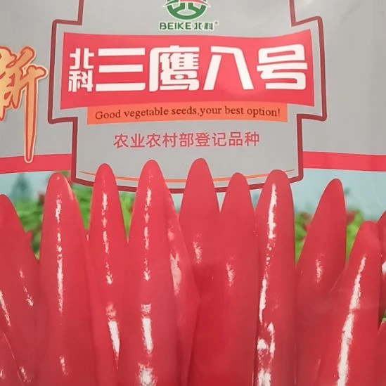 中国大陆商丘柘城辣椒大市场