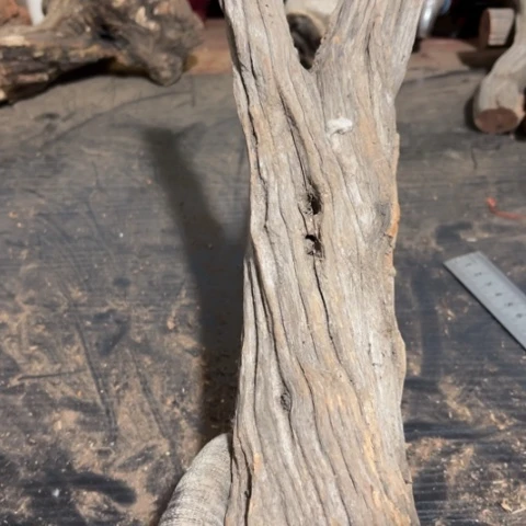 大果紫檀（缅甸花梨）庆*年
