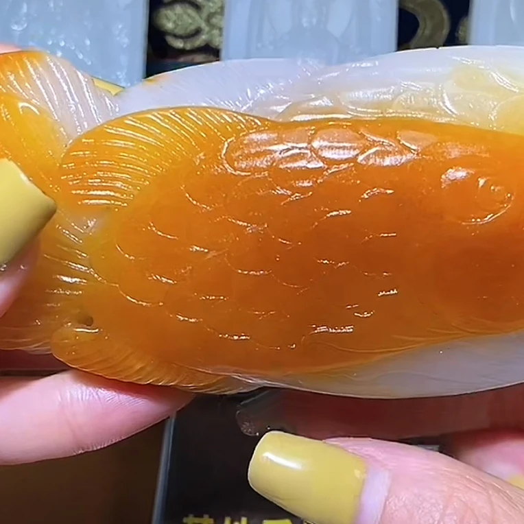 鱼9.15X7多样性拍一发一
