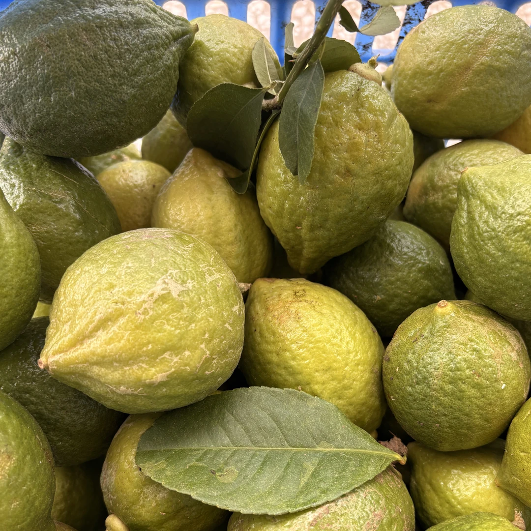 广东新鲜无籽香水柠檬青黄果多汁皮薄适合手打柠檬奶茶