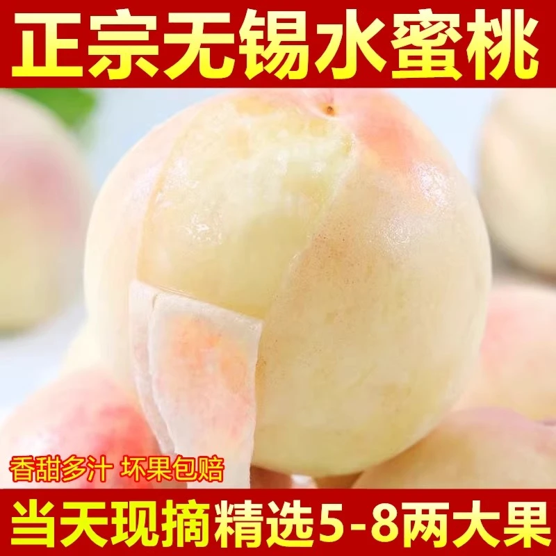 桃王（正宗无锡水蜜桃）5两左右单果现采现摘孕妇水果