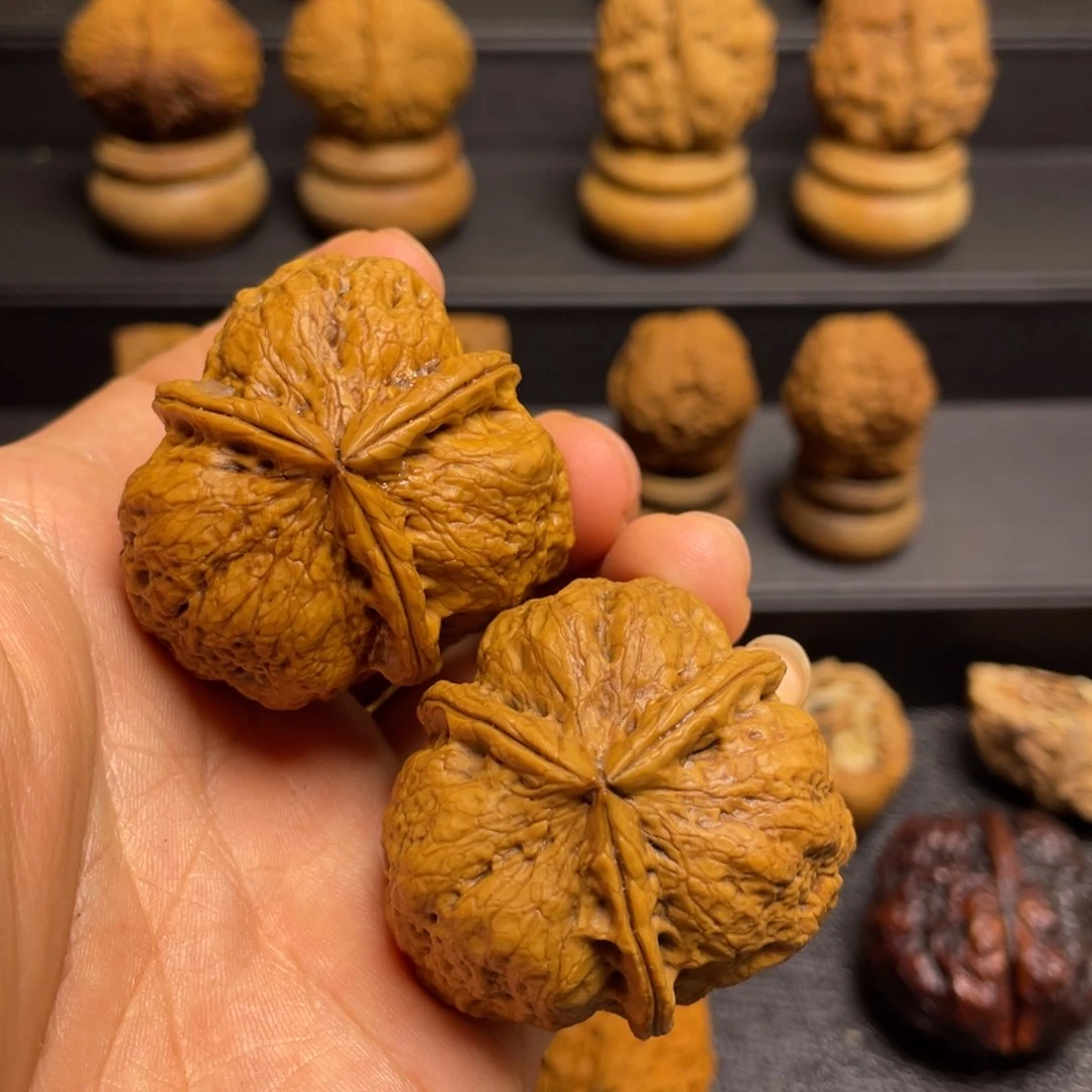 文玩核桃把件F龙骨