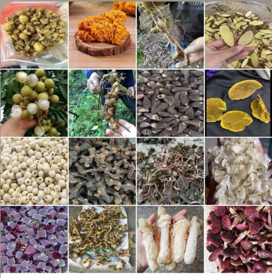 云南农家好物临时链接非香菇