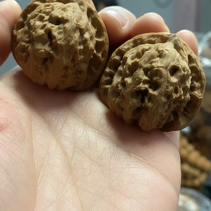 文玩核桃把件37白狮子老树