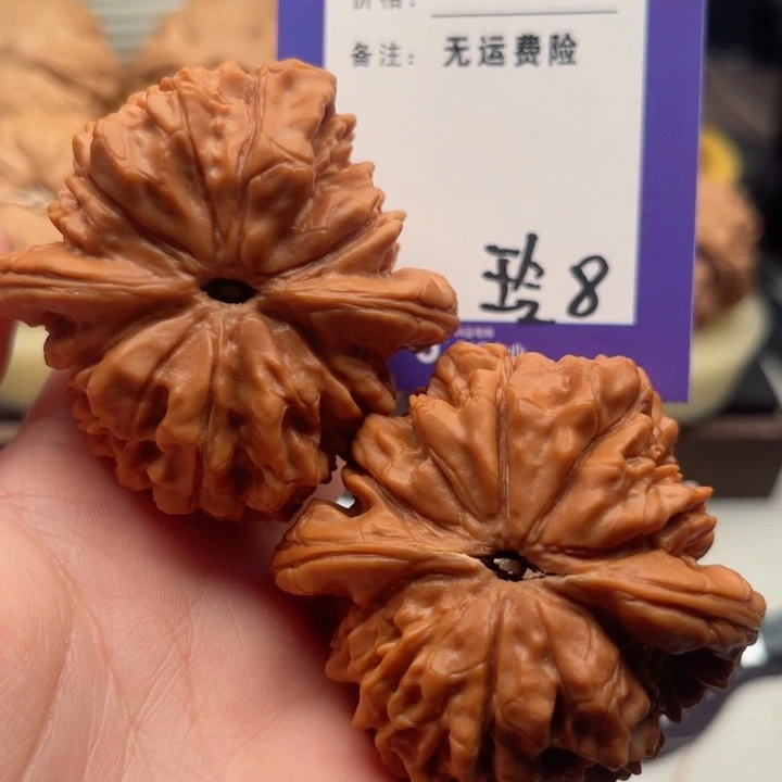 吊坠文玩核桃鳄*嘴文玩核桃8