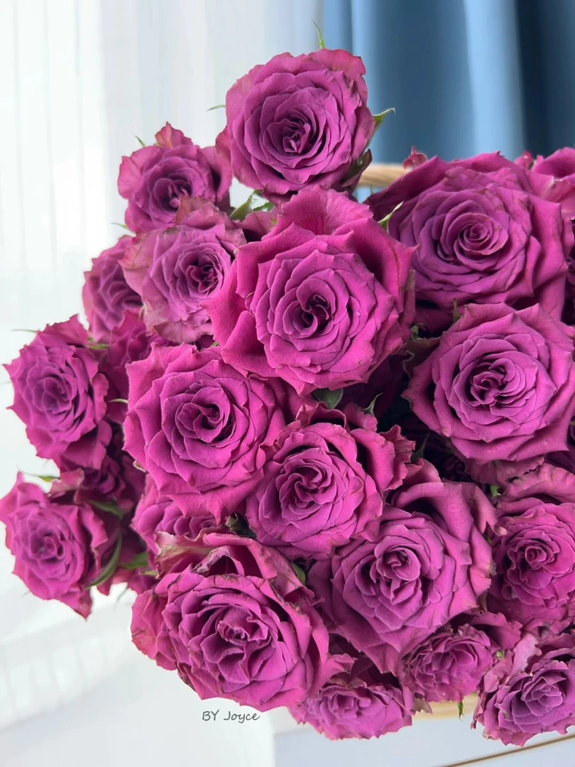 【向云端鲜花】蓝莓-多头玫瑰