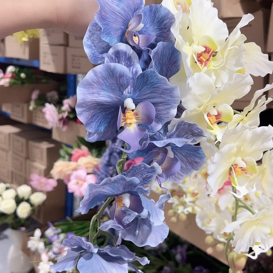 2色各一手感蝴蝶兰花