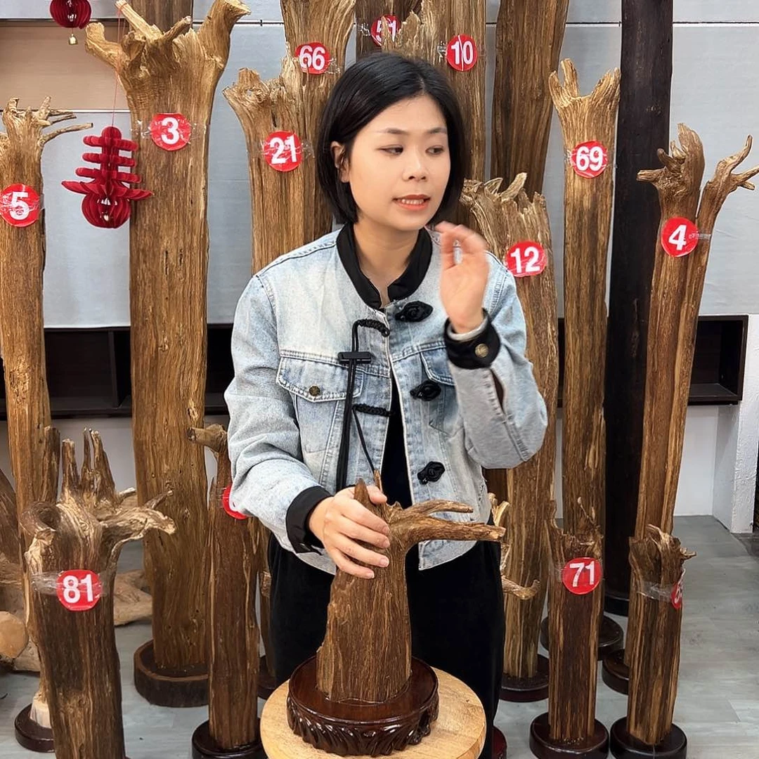 沉香摆件诺*海南沉香摆件