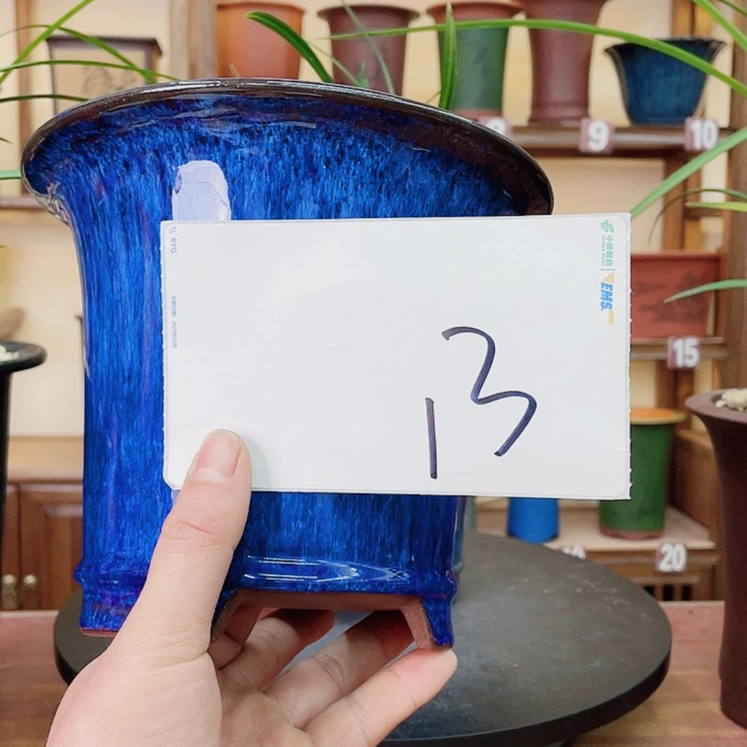 【闪购商品】紫砂花盆小*巴兰花755585526655587852