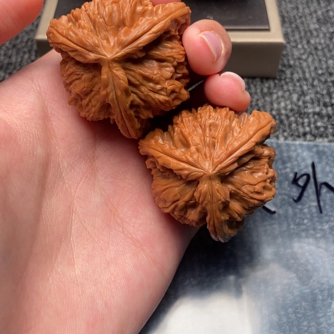 高****木质类白狮子正奔