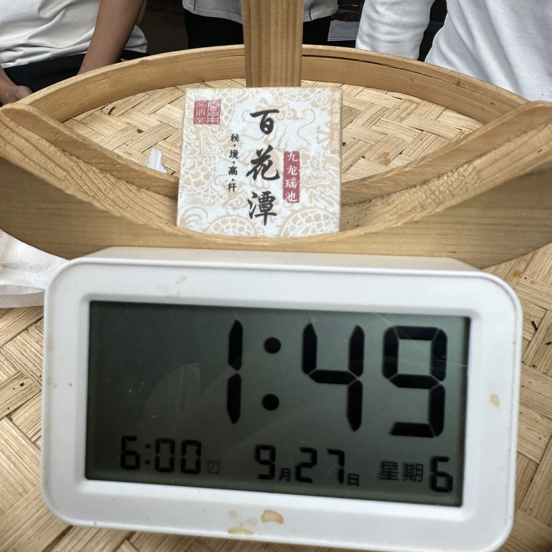 【357号】2023年易武百花潭生茶小方片(9月26号)C
