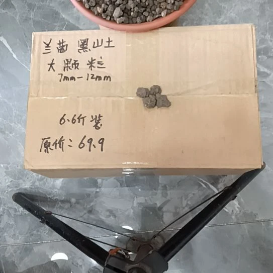 正***宝兰菌颗粒   大颗粒6.6斤