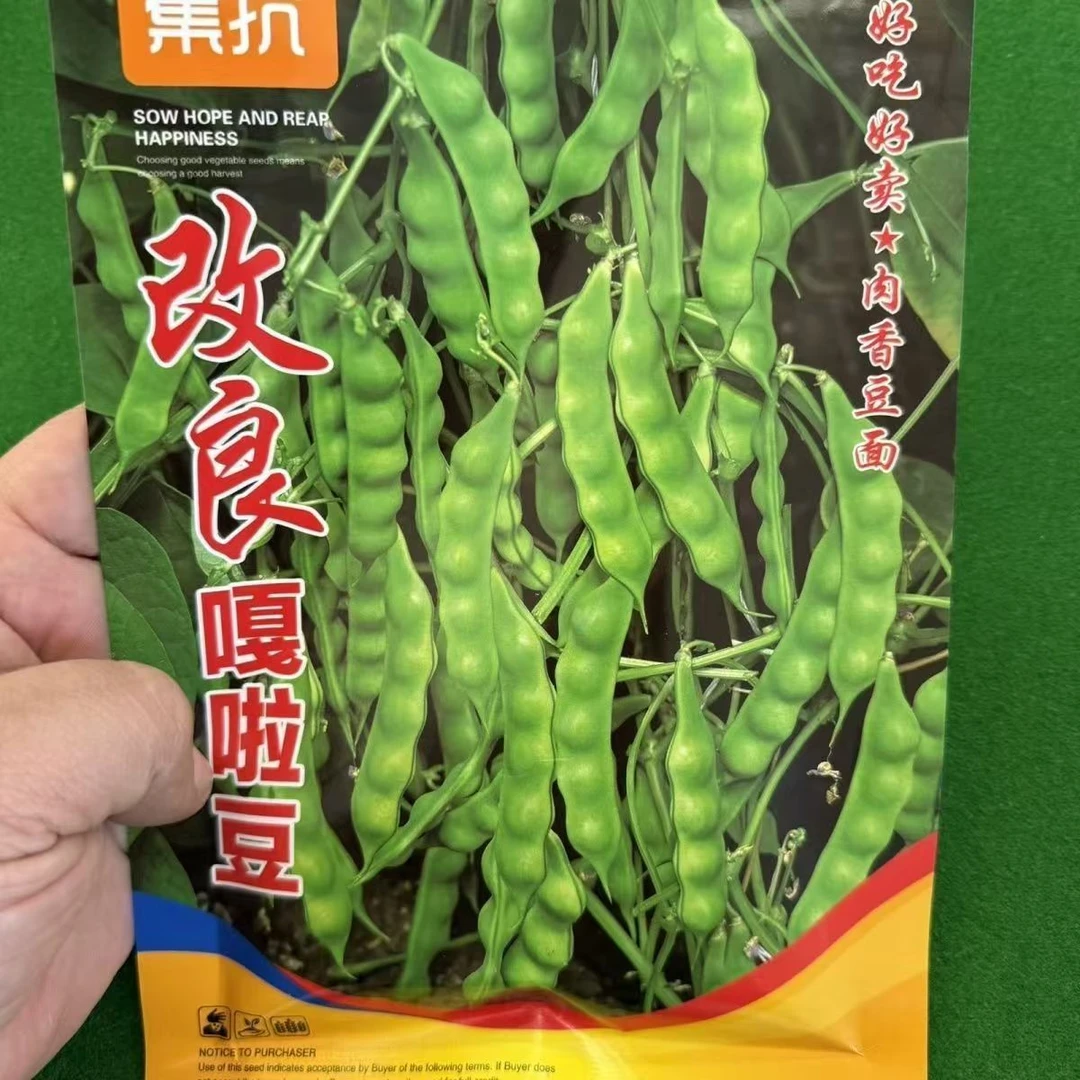【改良嘎啦豆种子】四季种植盆栽地栽阳台小院种植