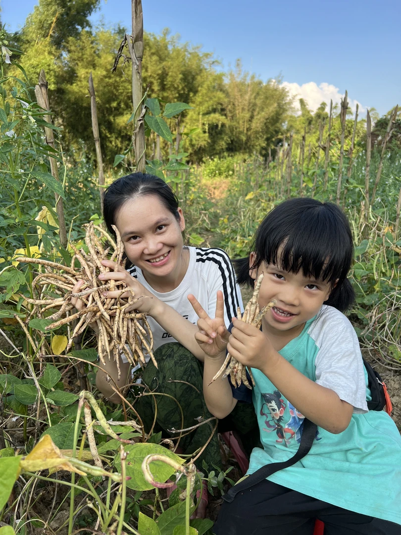 农家自种眉豆新货白豇豆干货五谷杂粮粗粮新鲜饱满