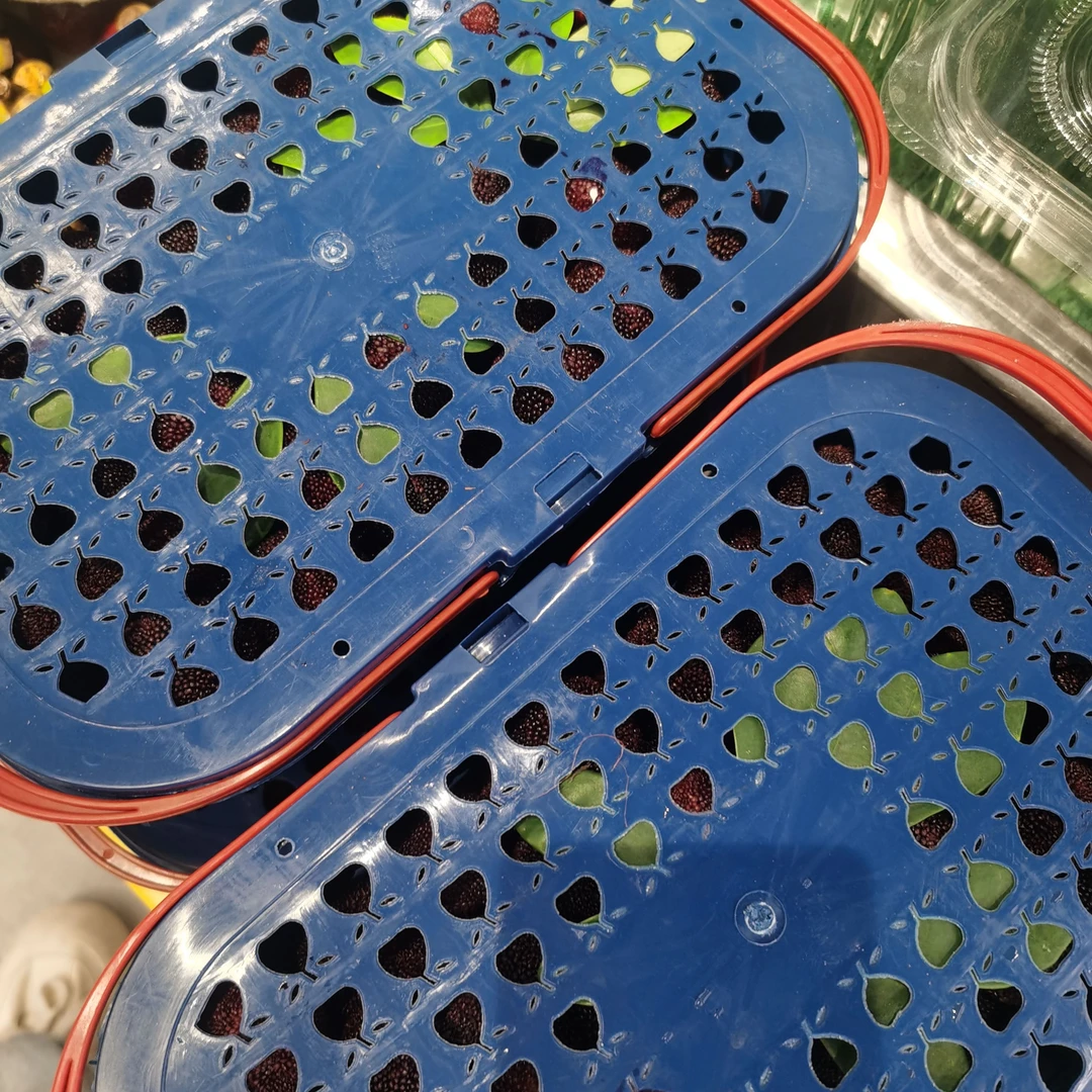 杨梅筐装 净重4-4.3斤 同城送