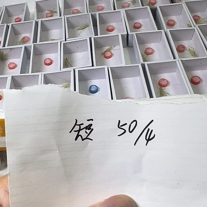 哈哈哈哈哈哈哈哈哈哈