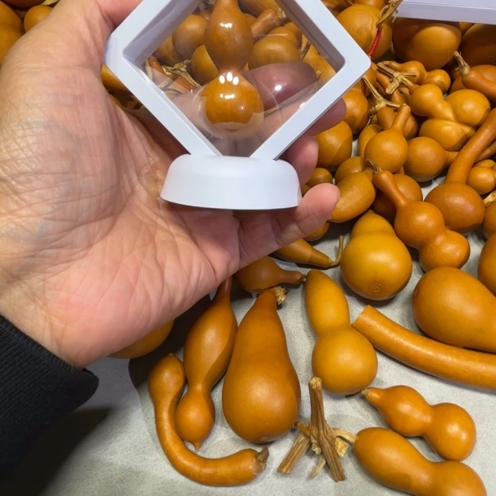 很***噪很聒噪的一把八宝八宝葫芦葫芦