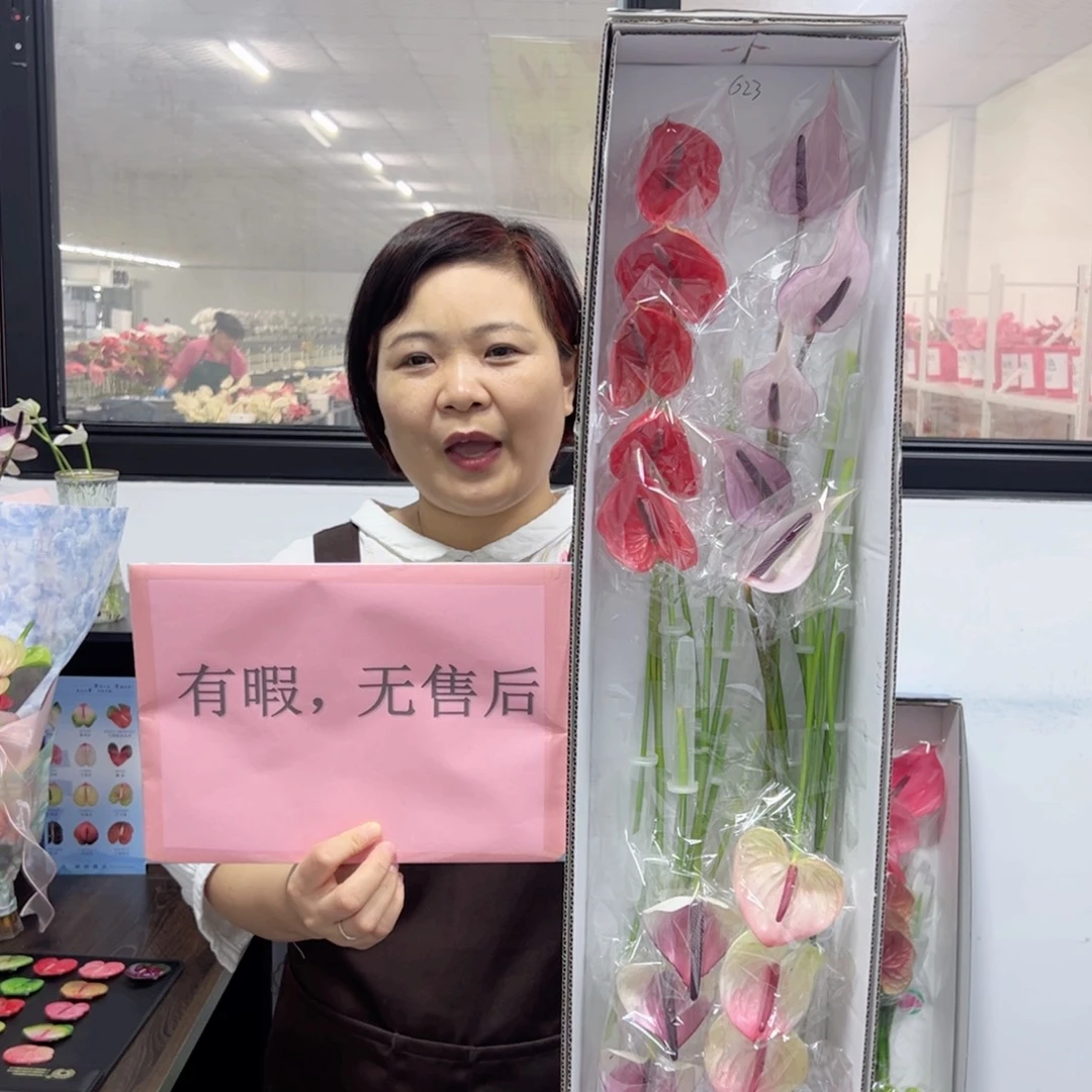 完全开放混色20枝迷你无售后款623