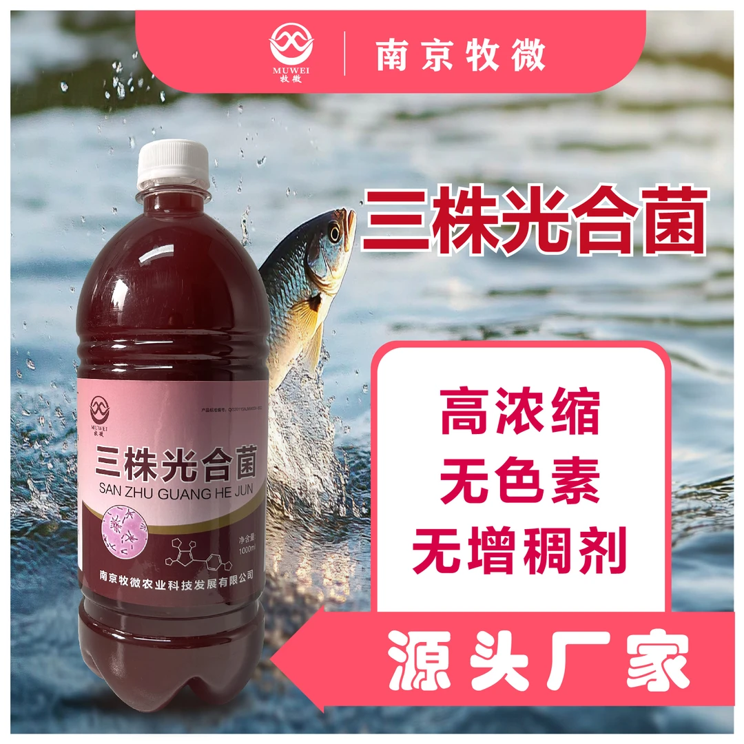 包邮 高浓光合菌 改善浓绿水 降解硫化氢 工厂直发 1箱装