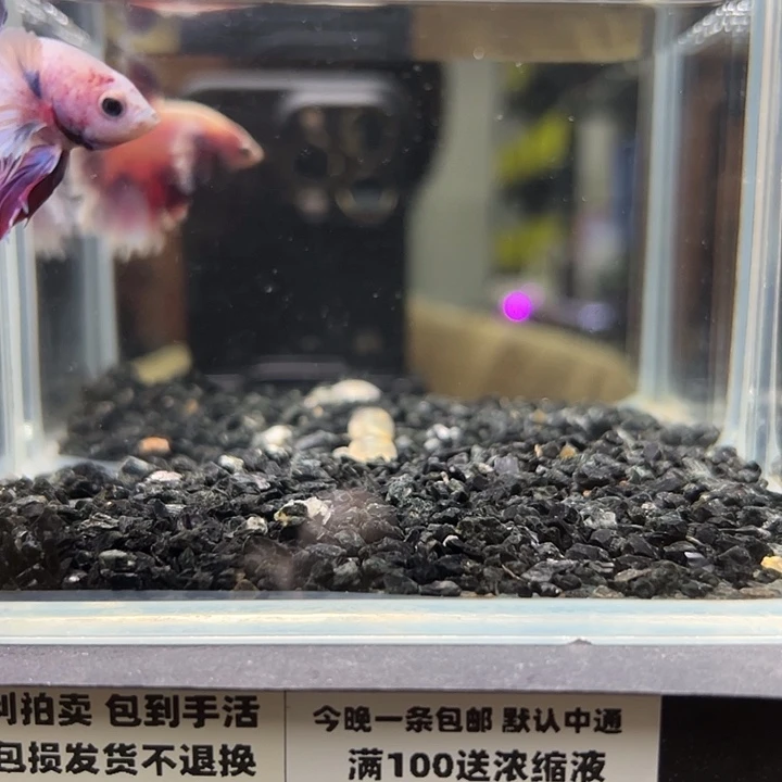斗鱼竞拍跑单拉黑9日21