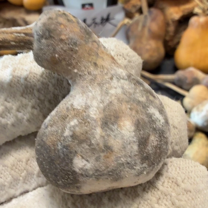 马***功5555555566666677788