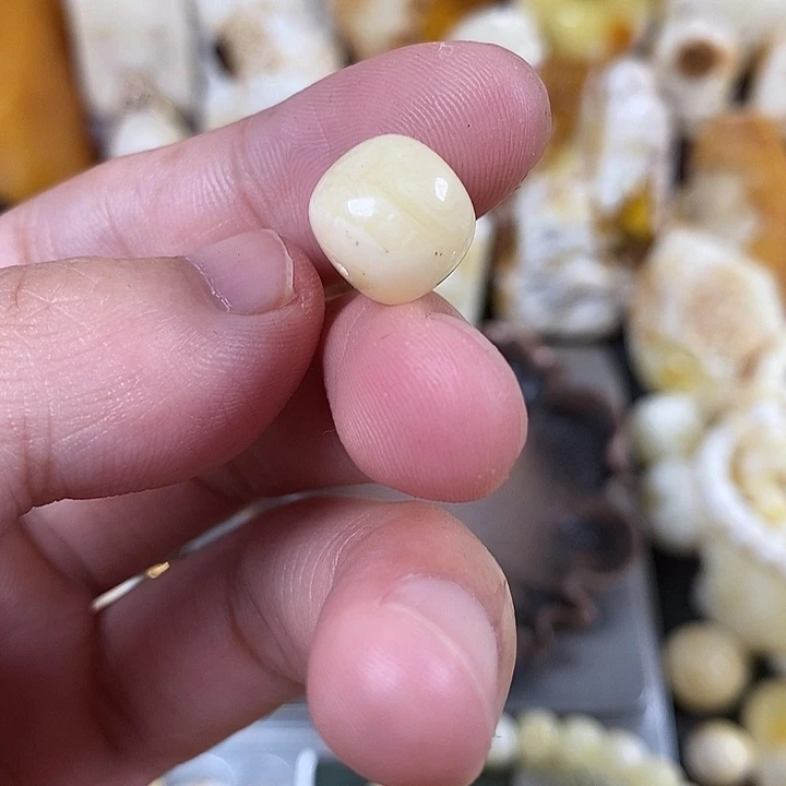 未镶嵌琥珀裸石我