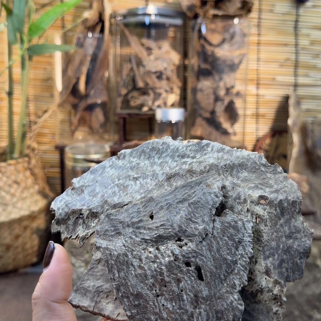 沉香碎屑沉香沉香倒架12g