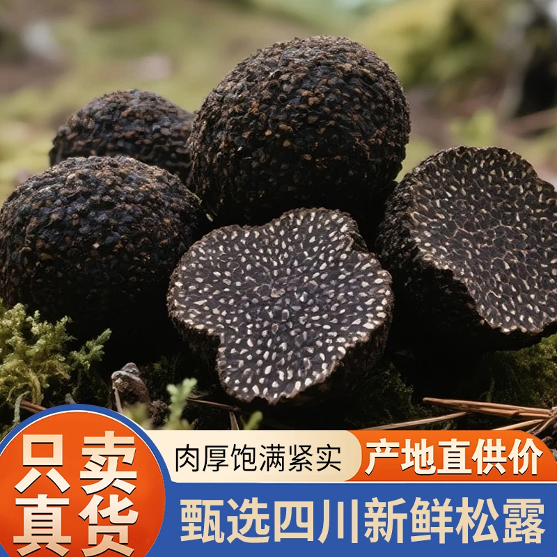 四川新鲜黑松露煲汤泡酒刺身食材带泥发顺丰特快包邮