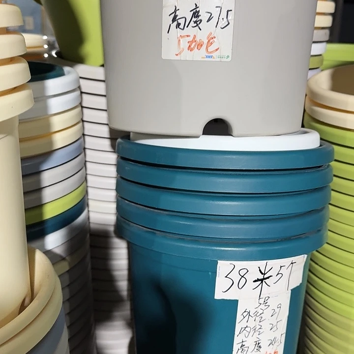 四季微瑕6号纯白无托5个