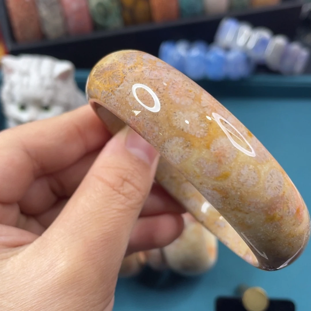 未镶嵌手镯硅化玉