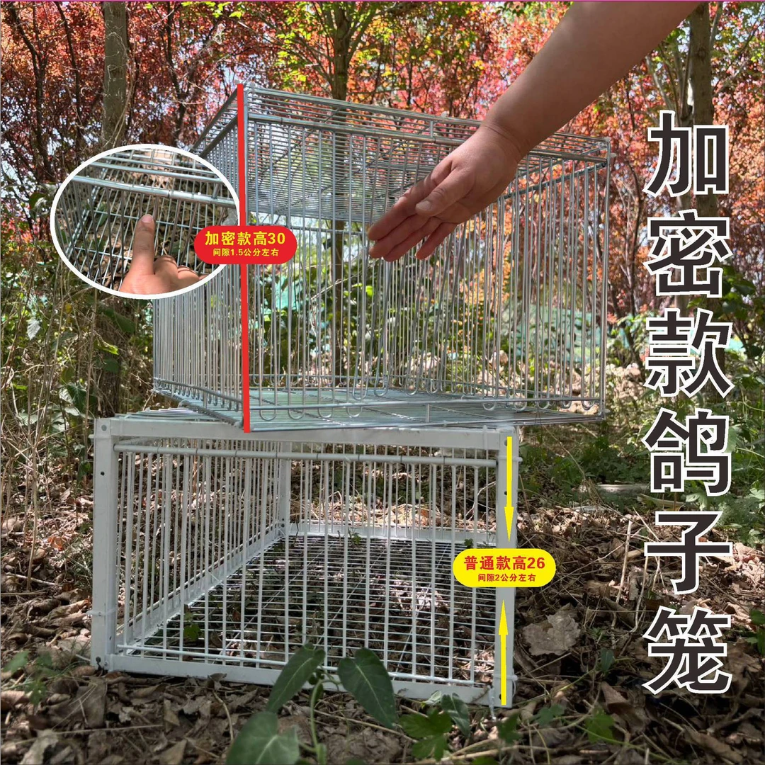 鸟类通用屋顶天落撞门家用户外鸽子笼活络鸽子信鸽进神器笼自动门