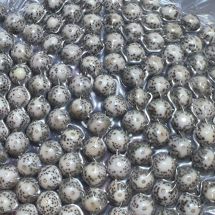 手串星月菩提石玉料10圆大眼睛