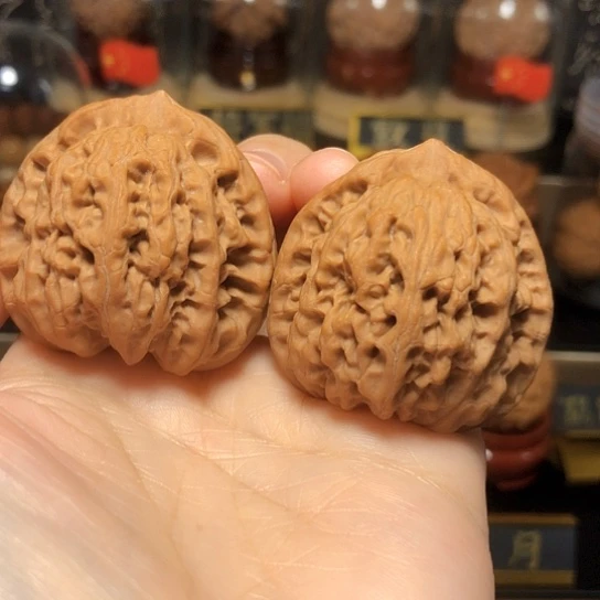 野生小众品：佛肚