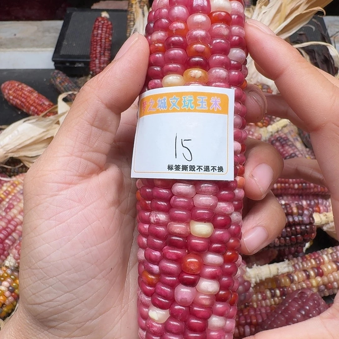 苏***苏柏香籽/百香籽吊坠