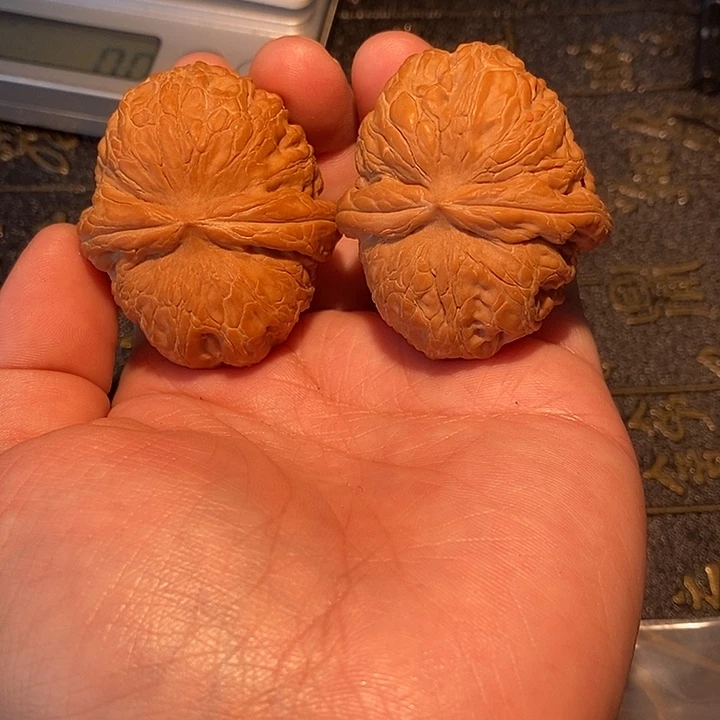 无***语手串/手链核桃44 元宝