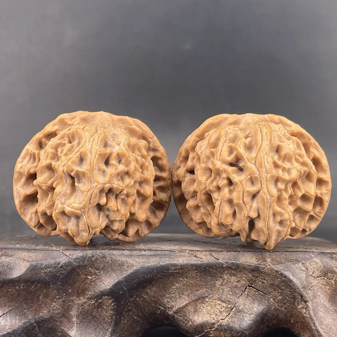 核桃表妹苹果园狮子头