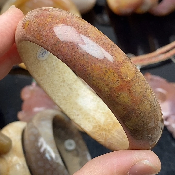 硅化玉未镶嵌颈饰58