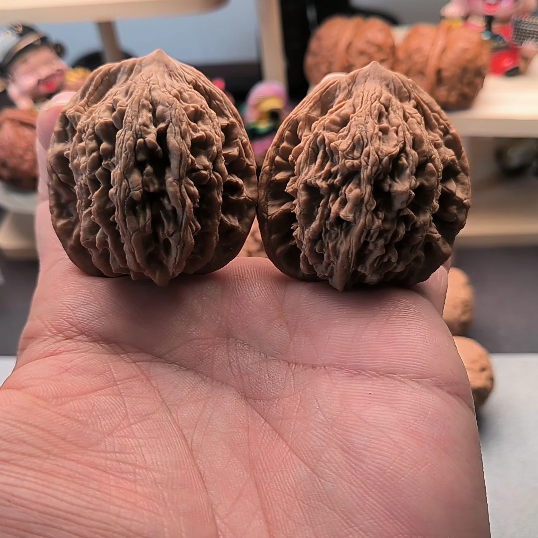 高桩老树麦穗虎头43尺46+高