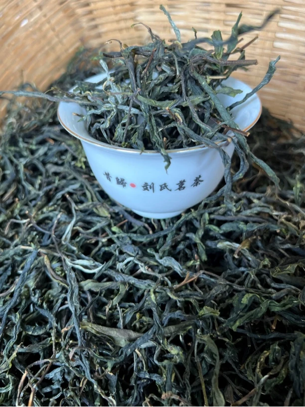 【昔归忙麓正山古树春茶】自家忙麓正山核心区昔归生茶古树春茶