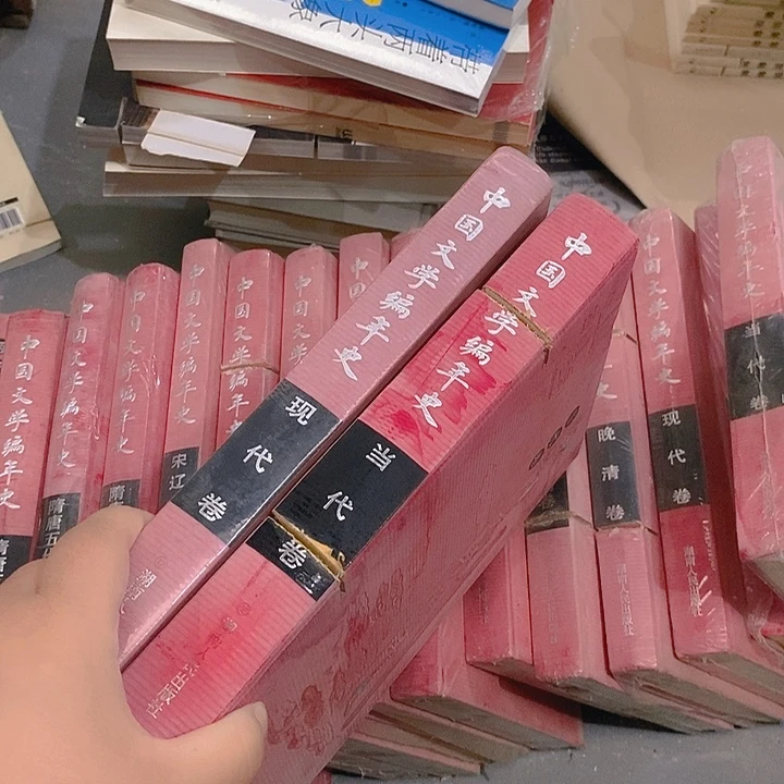 一***白瑕疵锯口  文学编年  现代 当代
