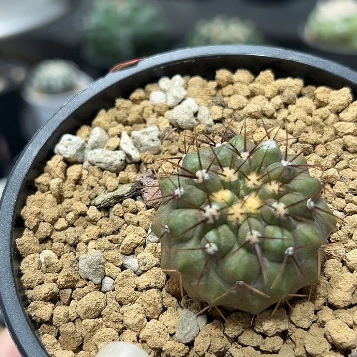 天**勤84哈哈哈哈哈哈哈