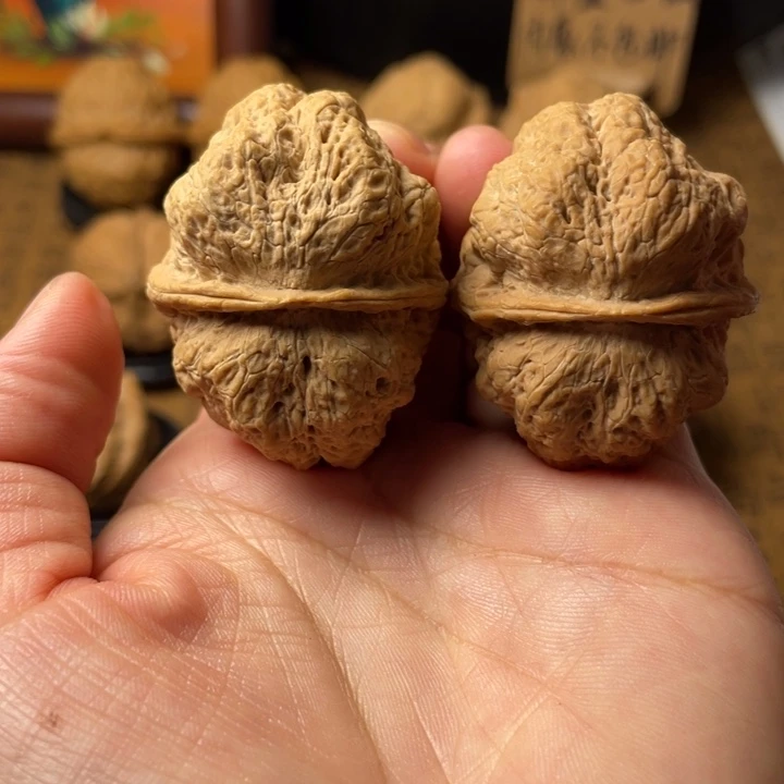 碎***嘴云南野生铁核桃编号50