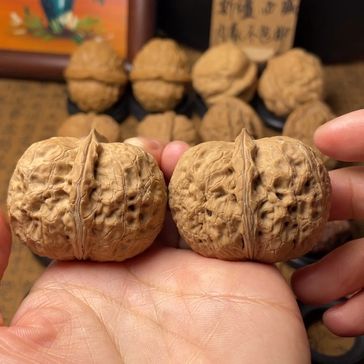 周***，云南野生铁核桃编号95