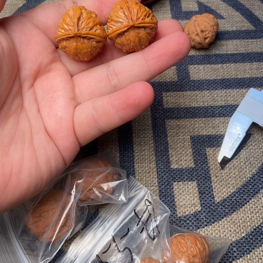 印***生文玩核桃把件580000000