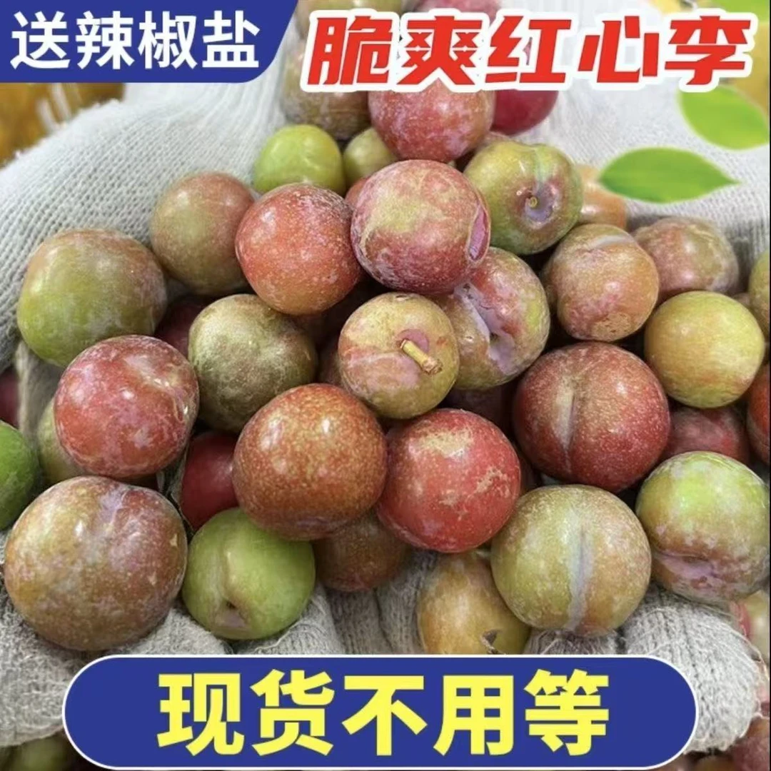 正宗广东茂名钱排三华李红心新鲜李子酸甜可口孕妇当季水果