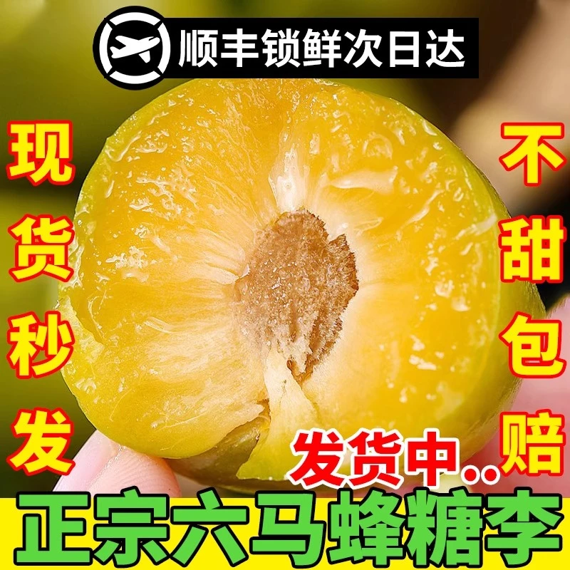礼盒装顺丰六马蜂糖李脆甜脱骨李子贵州镇宁蜂糖李大果整箱批发