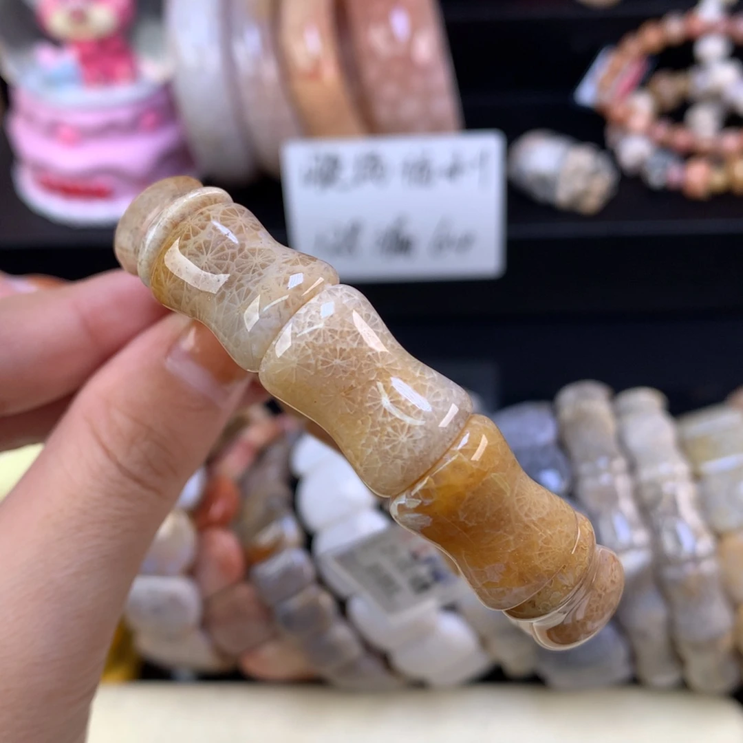 硅化珊瑚（珊瑚玉）未镶嵌颈饰晚场漏价手牌五折（12号）