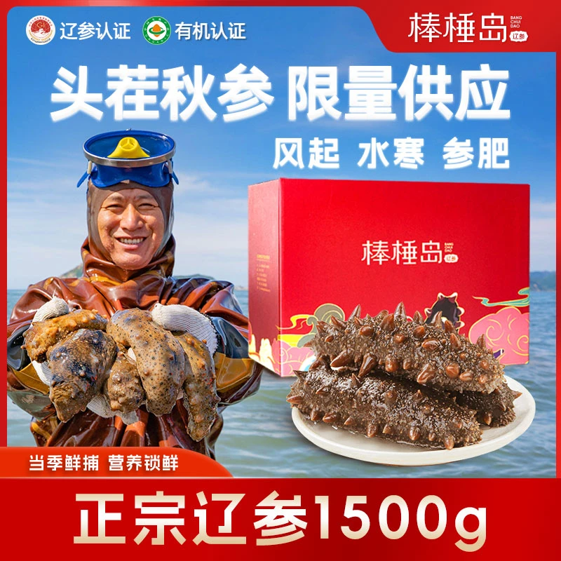 【特批机制】棒棰岛冷冻辽参3斤缓化加热即食海参