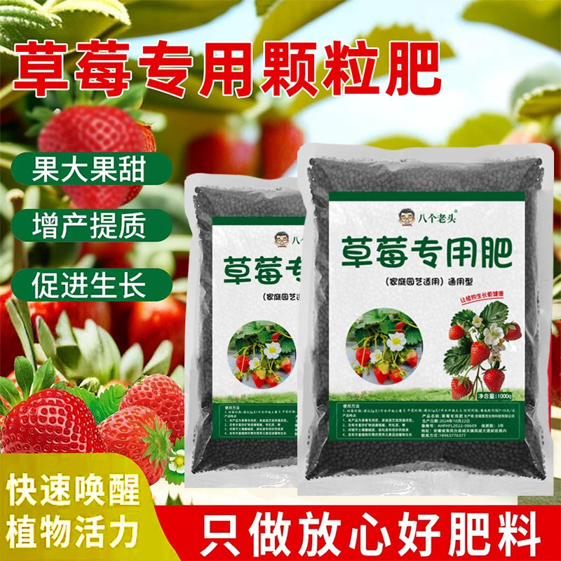 草莓肥料专用肥家用盆栽通用型缓释复合有机肥颗粒坐果期增甜土培